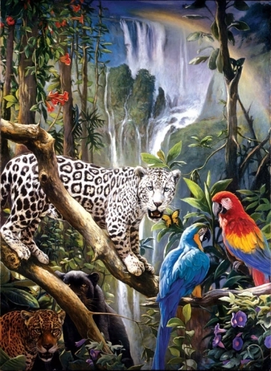 Malowanie diamentowe – papugi i panter 30 × 40 cm