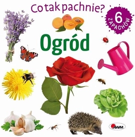 Co tak pachnie? Ogród