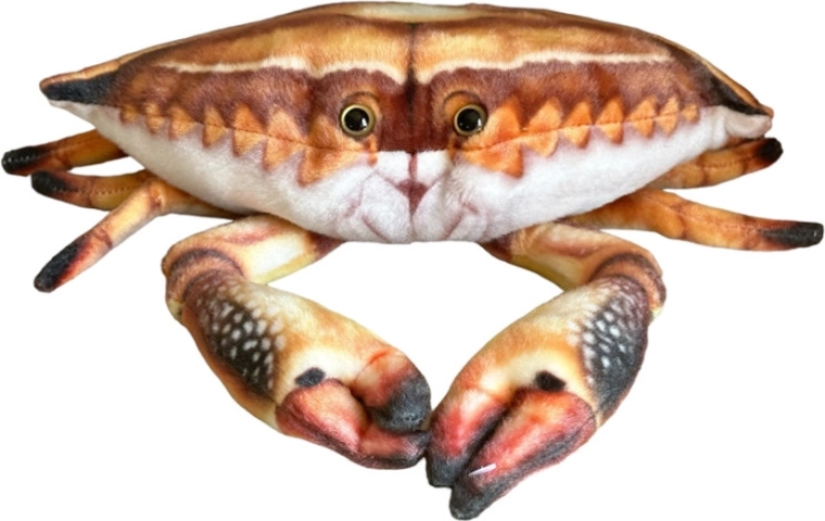 Pluszowy krab 31 cm