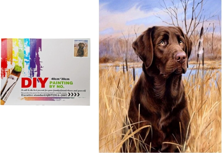 Malowanie po numerach – pies w trzcinach