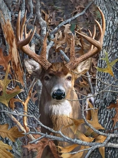 Malowanie diamentowe – spojrzenie jelenia 30 × 40 cm