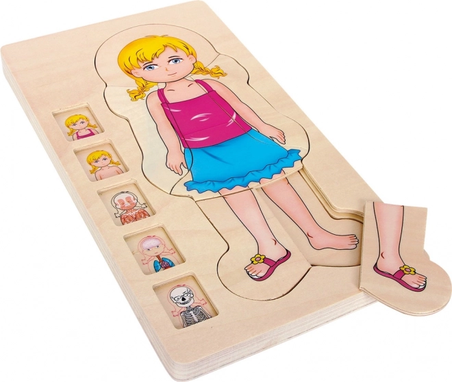 Small foot drewniane warstwowe puzzle anatomii