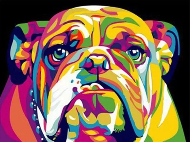 NORIMPEX Malowanie po numerach Kolorowy buldog 40 × 50 cm