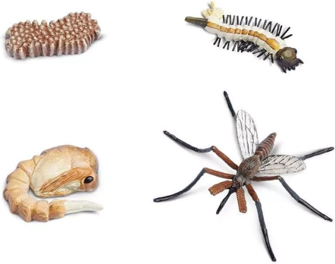Safari Ltd. cykl życia komara
