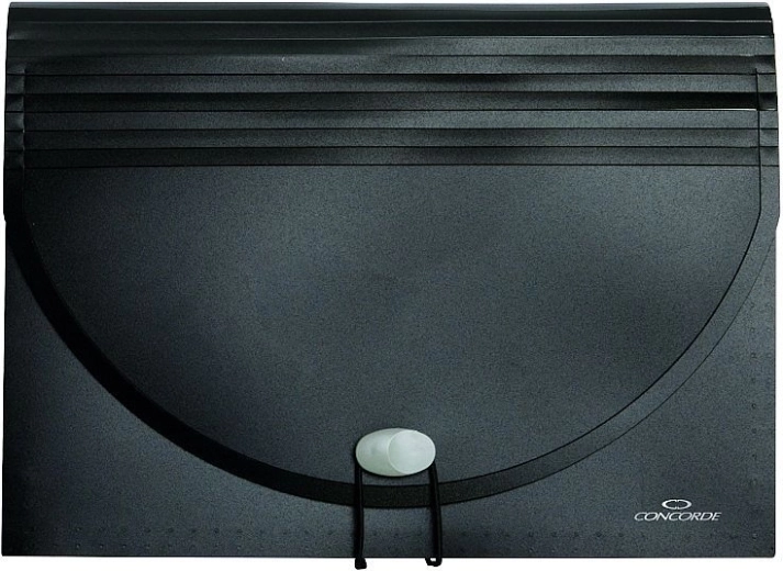 Organizer na dokumenty z gumką, 25 kieszeni