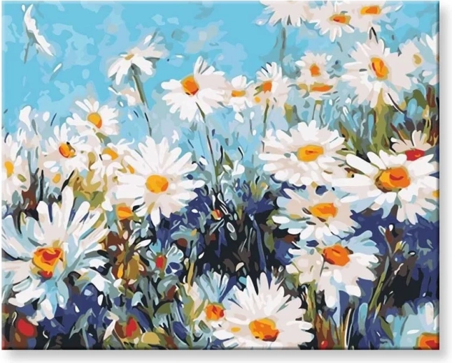 Norimpex Malowanie po numerach Stokrotki 40 × 50 cm