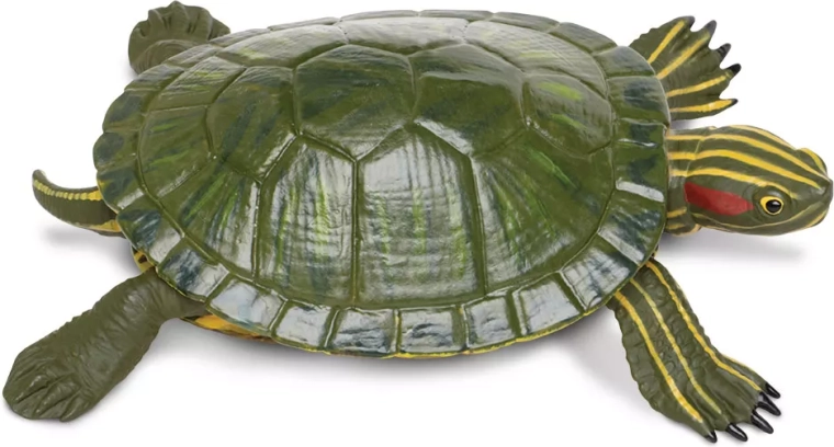 Figurka żółwia czerwonolicego Safari Ltd. - 1 szt.