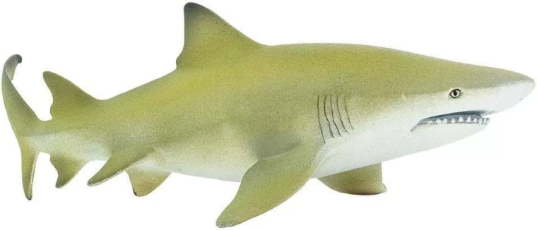 Figurka rekina cytrynowego Safari Ltd.