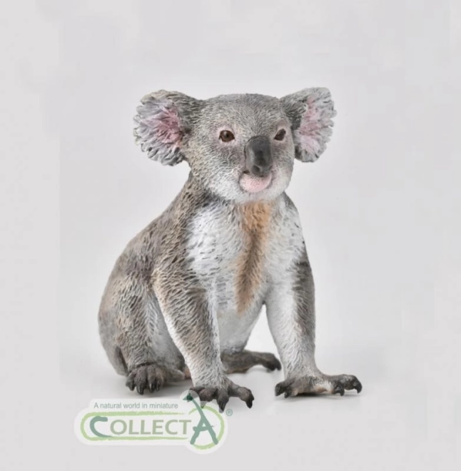 Kolekcja Koala