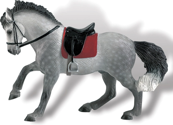 Andaluzyjski wałach