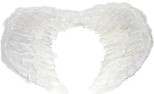 Duże anielskie skrzydła