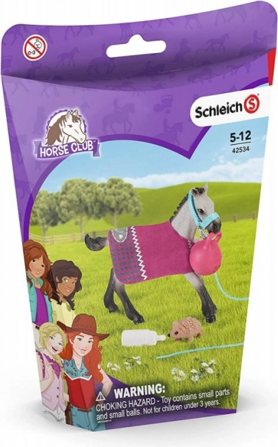Schleich Horse Club zabawny zestaw dla zwierząt