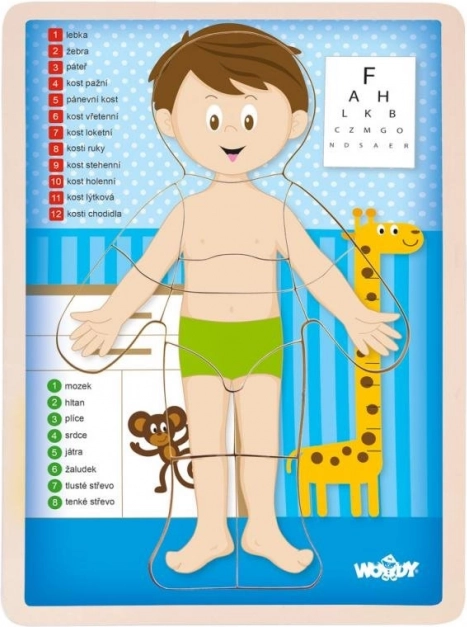Woody dwustronne puzzle Ciało człowieka - chłopiec
