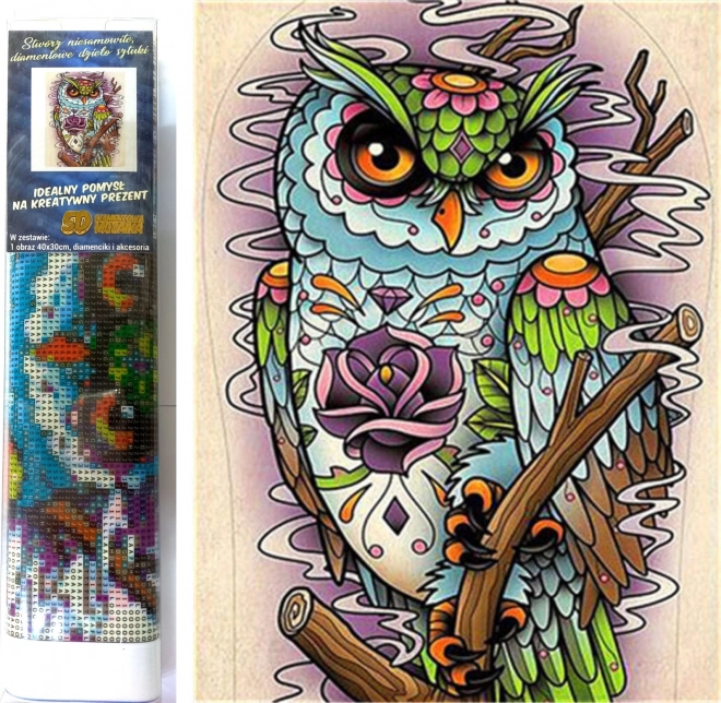 Diamentowe malowanie mądra sowa 30x40 cm