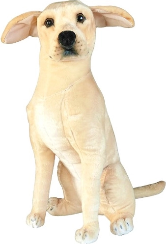 Pluszowy pies Labrador 65 cm DUBI