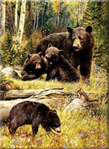 Diamentowe malowanie – Niedźwiedzie na polanie 30 × 40 cm