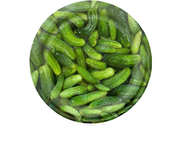 Zestaw wieczek do wekowania 82 mm z motywem ogórków, 6 ząbków, 10 szt.