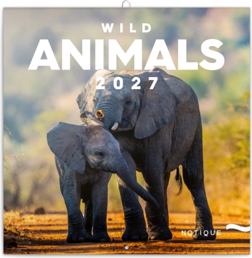 Kalendarz notatkowy Dzika przyroda 2027, 30 × 30 cm