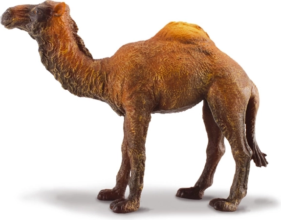 Figurka dromadera Collecta