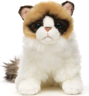 Pluszowy kot Ragdoll 23 cm