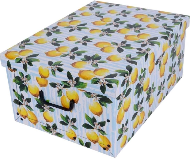 Kartonkowe pudełko do przechowywania Maxi – cytryny