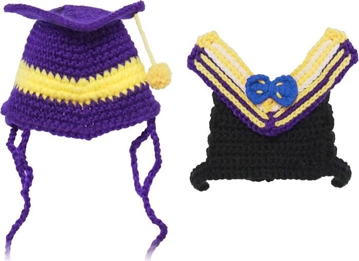 Dziany studencki kostium dla robota LOONA Premium