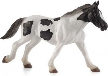 Mojo irlandzki tinker, roczne źrebię