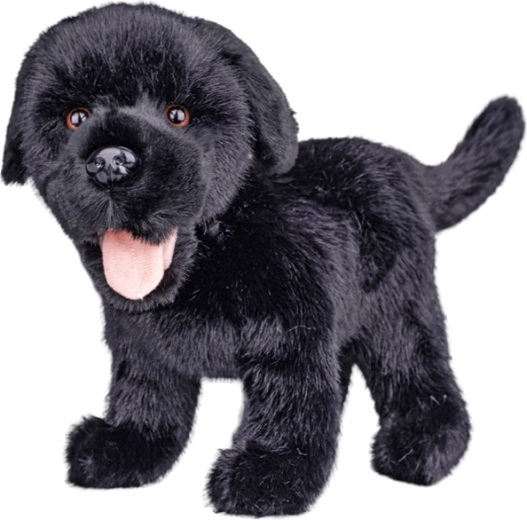 Pluszowy labrador czarny 23 cm - 1 sztuka