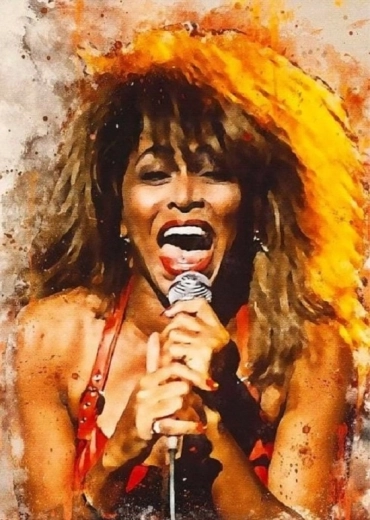 Norimpex Malowanie według numerów Tina Turner śpiewa 40 × 50 cm
