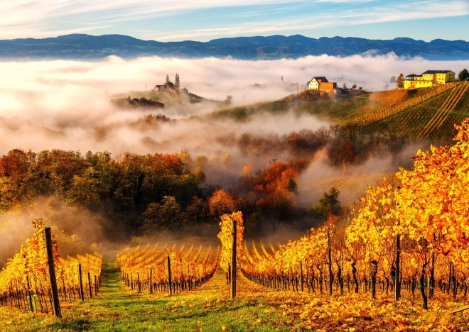 Enjoy puzzle W winnicy 1000 elementów