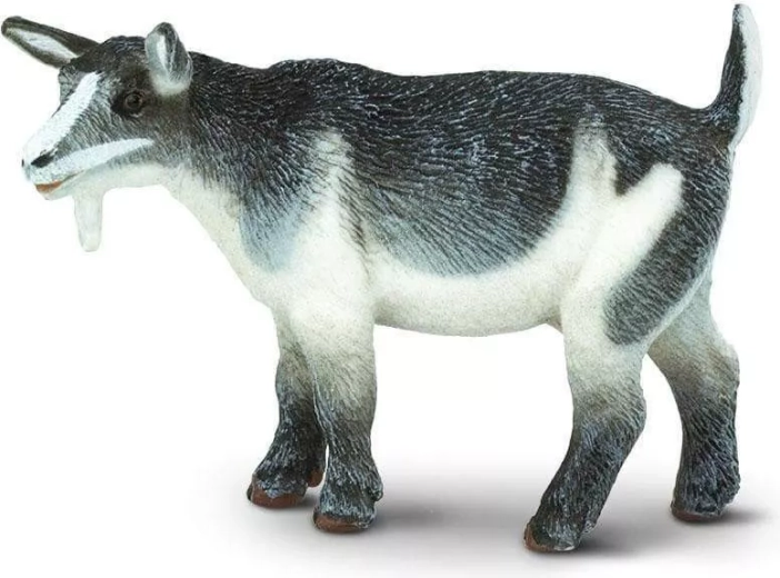 Figurka kozy karłowatej Safari Ltd.