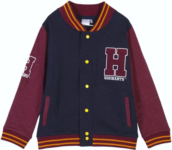 Bluza Harry Potter