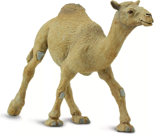 Safari Ltd. figurka dromadera (wielbłąd jednogarbny) - 1 sztuka