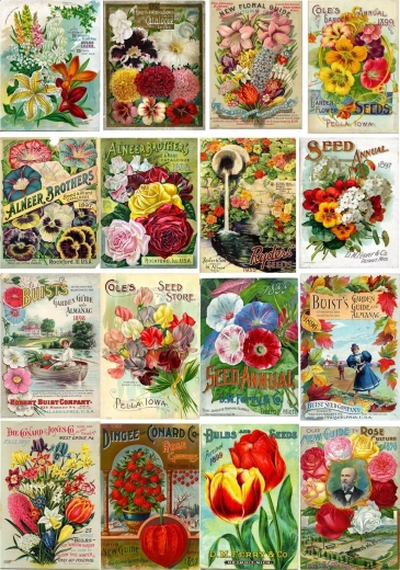 Puzzle Enjoy vintage opakowania nasion kwiatów 1000 elementów