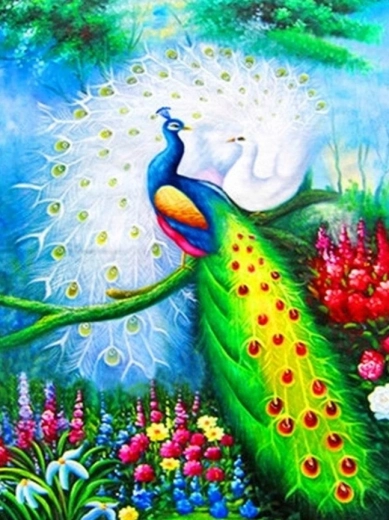 Malowanie diamentowe – pawie 30 × 40 cm