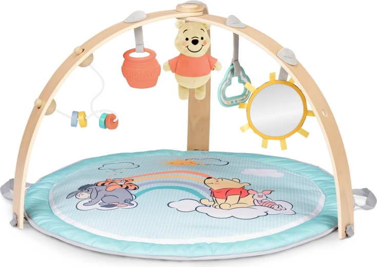 Mata edukacyjna z pałąkami Disney Baby Winnie the Pooh Hunny Hangout