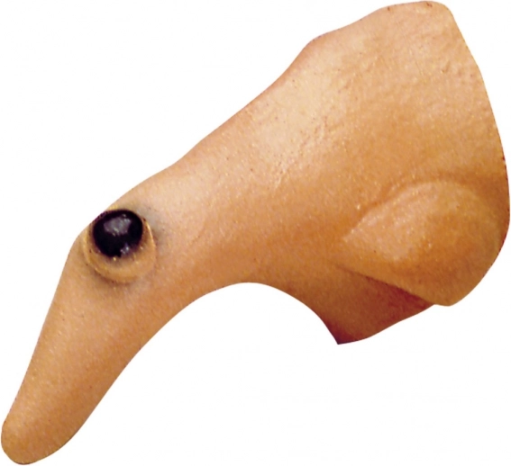 czarodziejski nos z brodawką