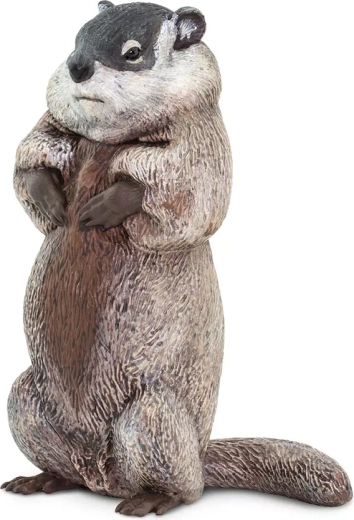 Safari Ltd. figurka świstaka - 1 sztuka
