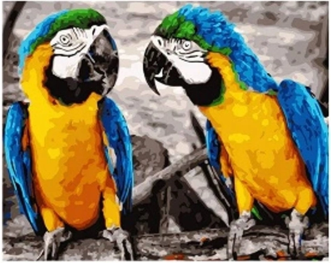 Malowanie diamentowe Papugi 30 × 40 cm