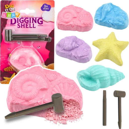 Archeologiczny zestaw morskich skamielin – zestaw wykopaliskowy z muszlami i narzędziami