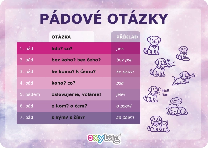 Karta edukacyjna A4 pytania przypadków – motyl