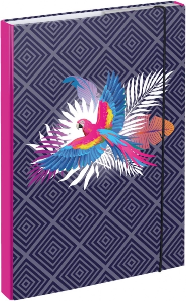 Teczki na zeszyty szkolne A4 Papuga