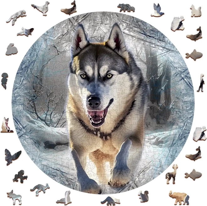 Drewniane puzzle Biegnący Wilk 505 części od Wooden City