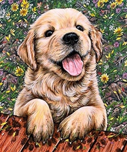 Diamentowe malowanie szczeniaka labradora 30 × 40 cm