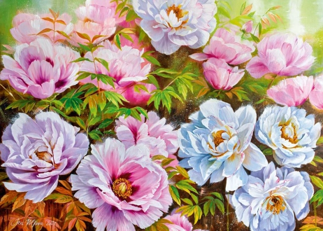 CHERRY PAZZI puzzle Peonyssimo Opus 1000 elementów