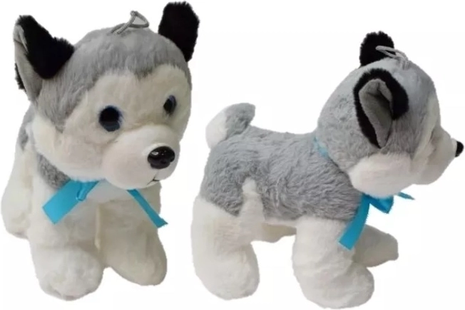 Pluszowy husky średni 20 cm