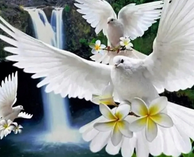 Diamentowe malowanie Białe gołębice 30 × 40 cm