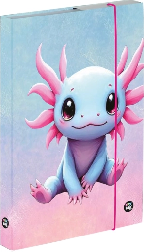 Oxybag pudełko na zeszyty A4 Axolotl
