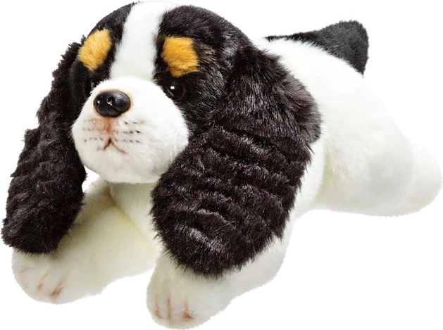 Pluszowy pies Cavalier King Charles spaniel 30 cm