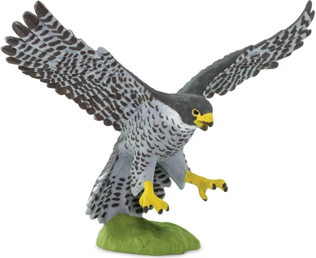 Figurka sokoła wędrownego Safari Ltd. - 1 sztuka